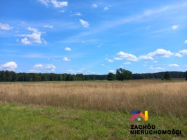Działki w Zaborze z widokiem na łąki na sprzedaż